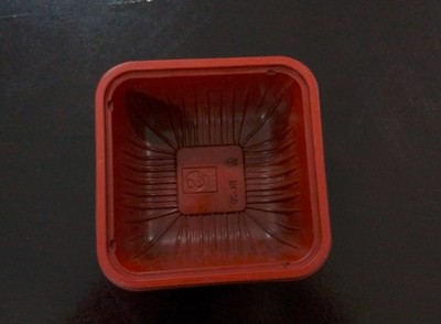 新忠盛吸塑制品廠 以專業制造，塑世界精彩